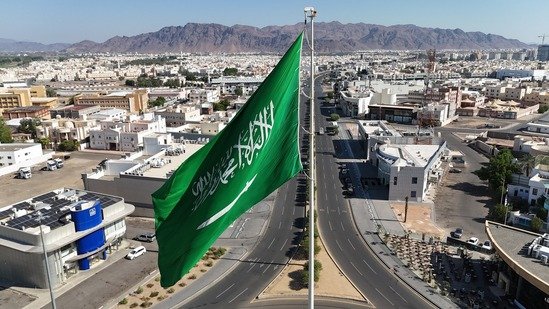 صورة المشروع