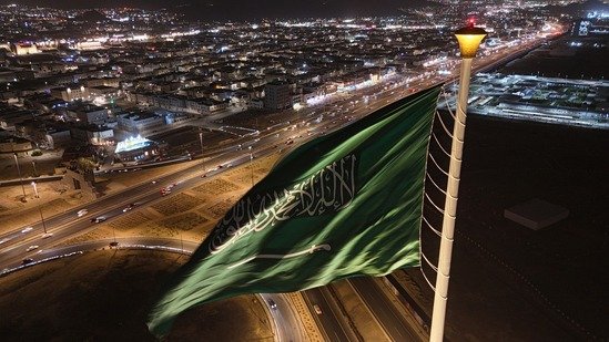 صورة المشروع