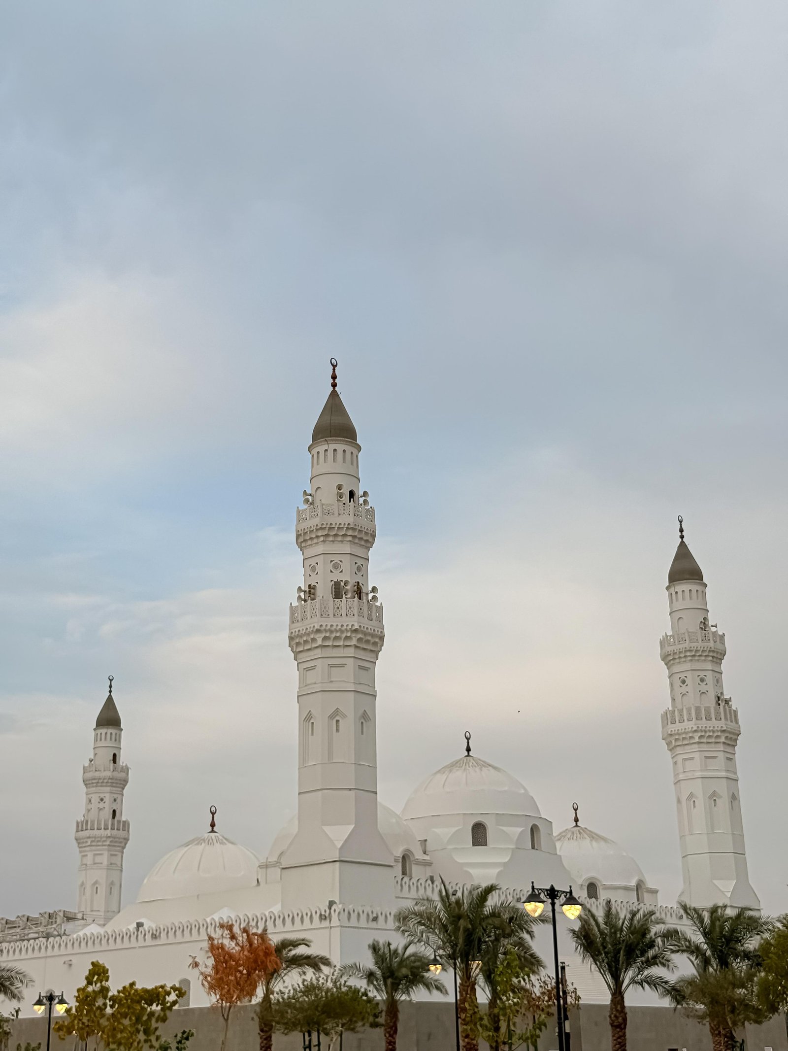 صورة المشروع